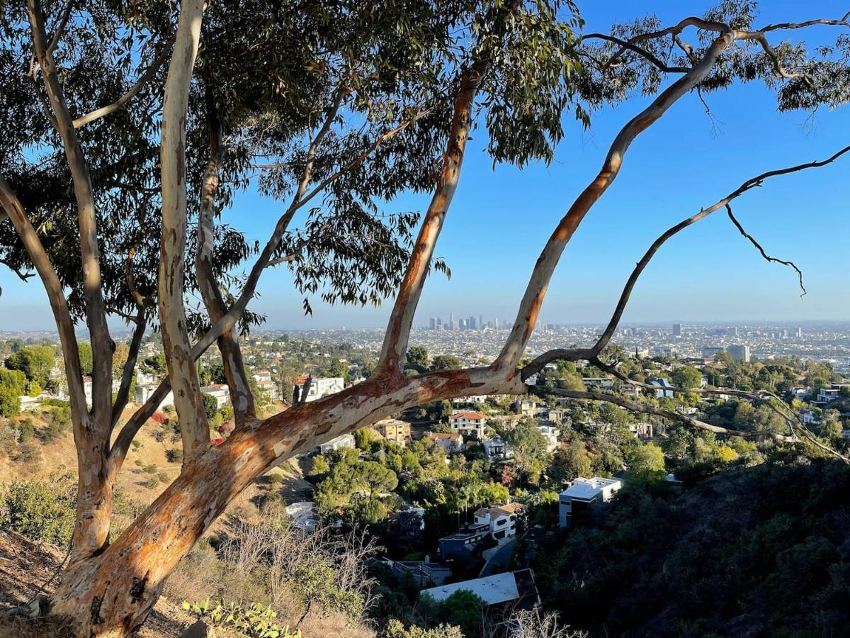 Hollywood Hills 1940S Mansion Hotel Los Angeles Ngoại thất bức ảnh